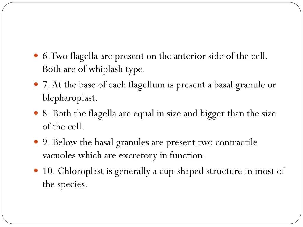 6 two flagella are present on the anterior side