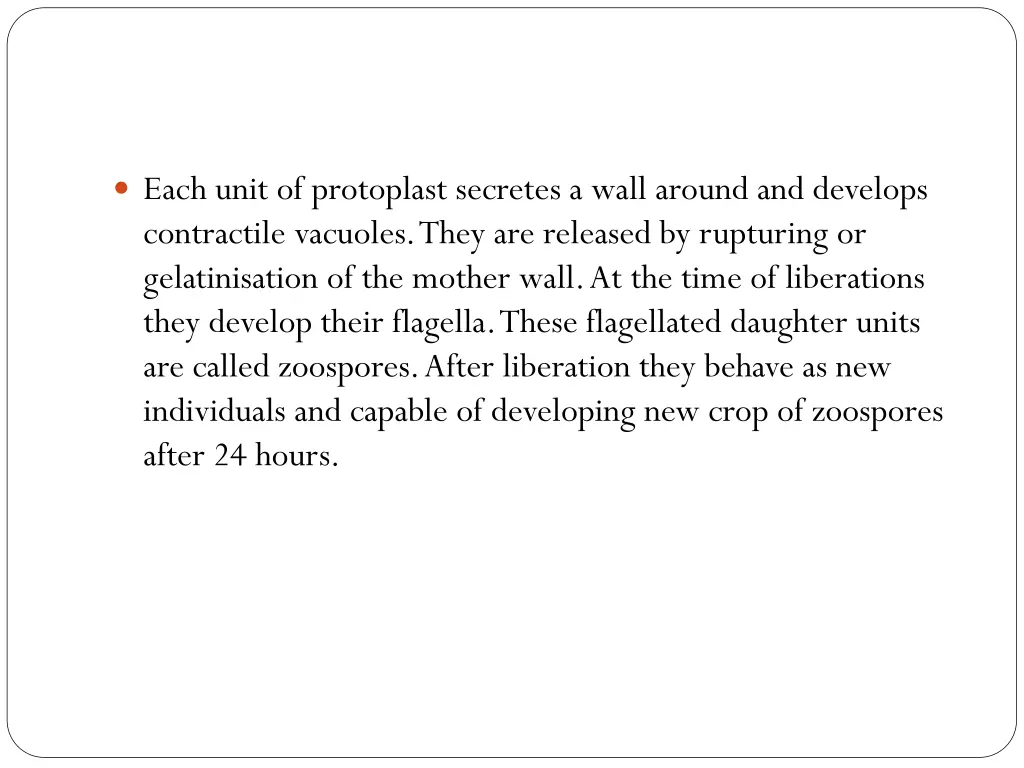 each unit of protoplast secretes a wall around