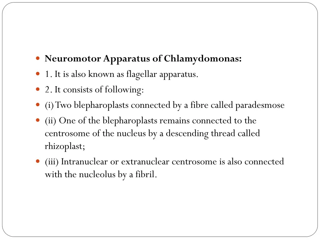 neuromotorapparatus of chlamydomonas 1 it is also