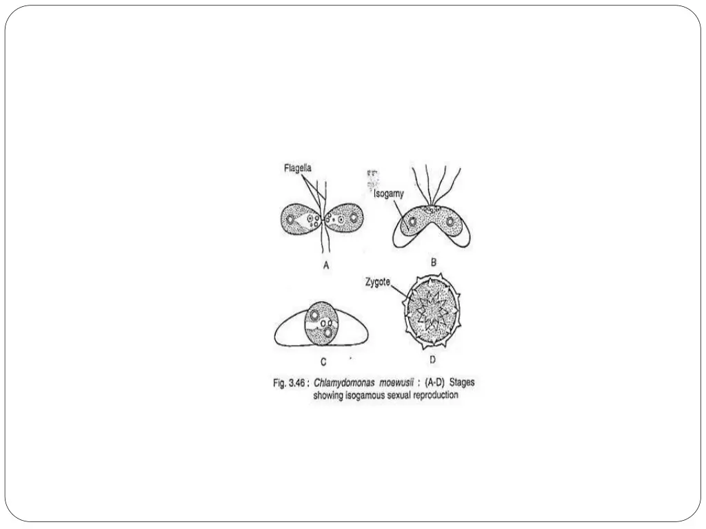 slide16