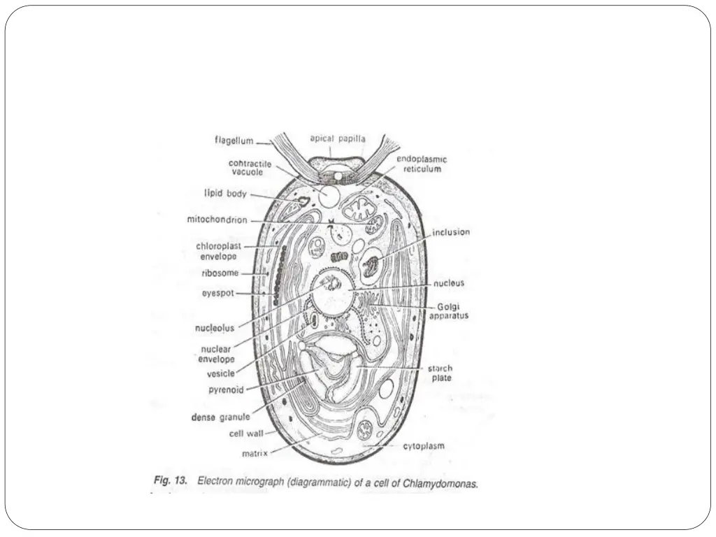 slide8
