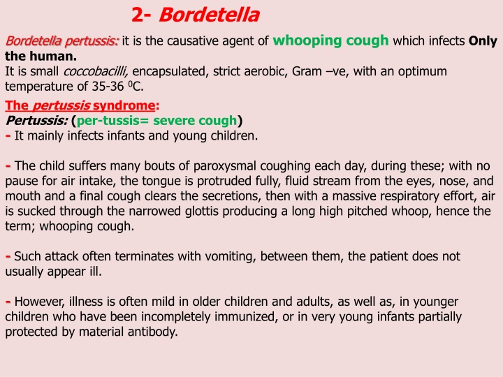 2 bordetella