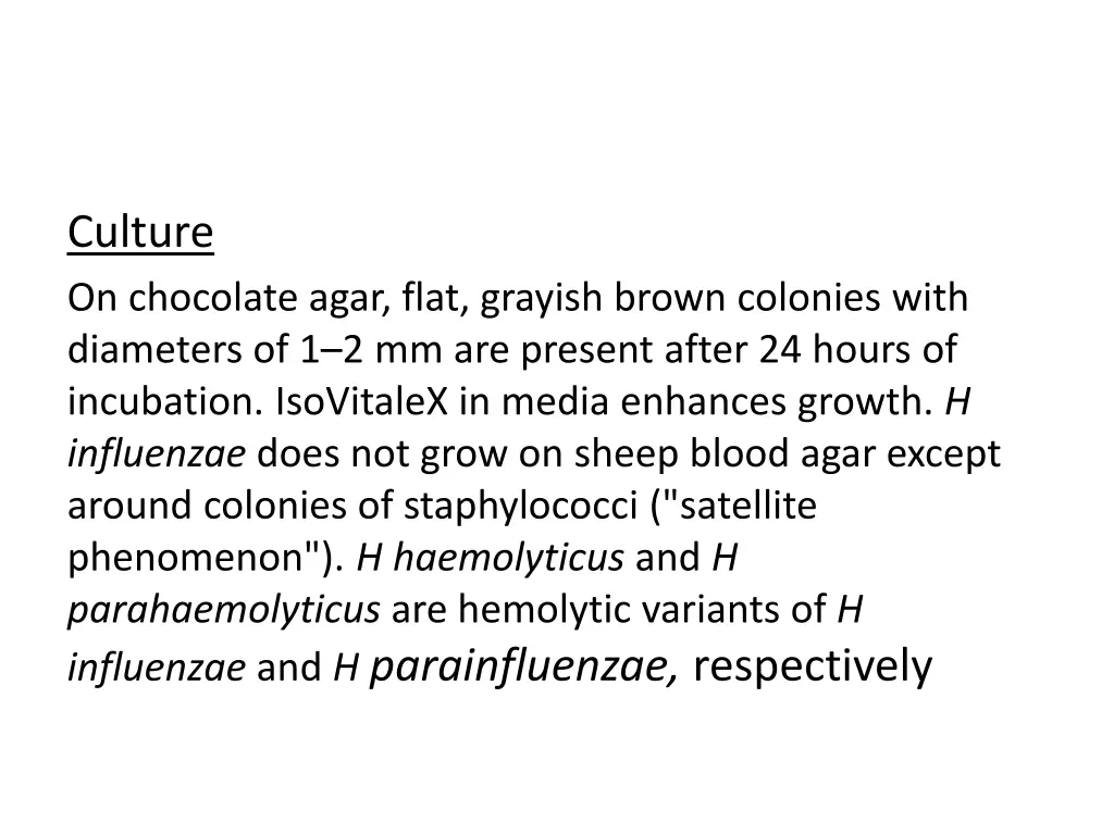 culture on chocolate agar flat grayish brown