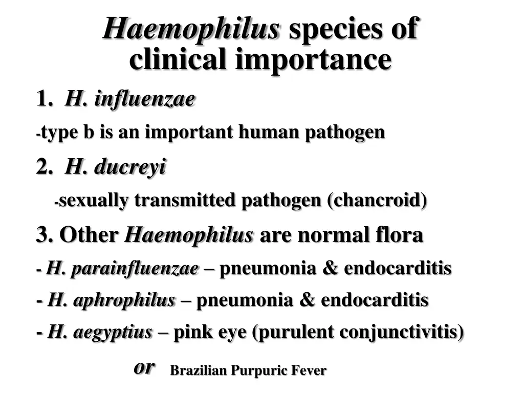 haemophilus species of clinical importance