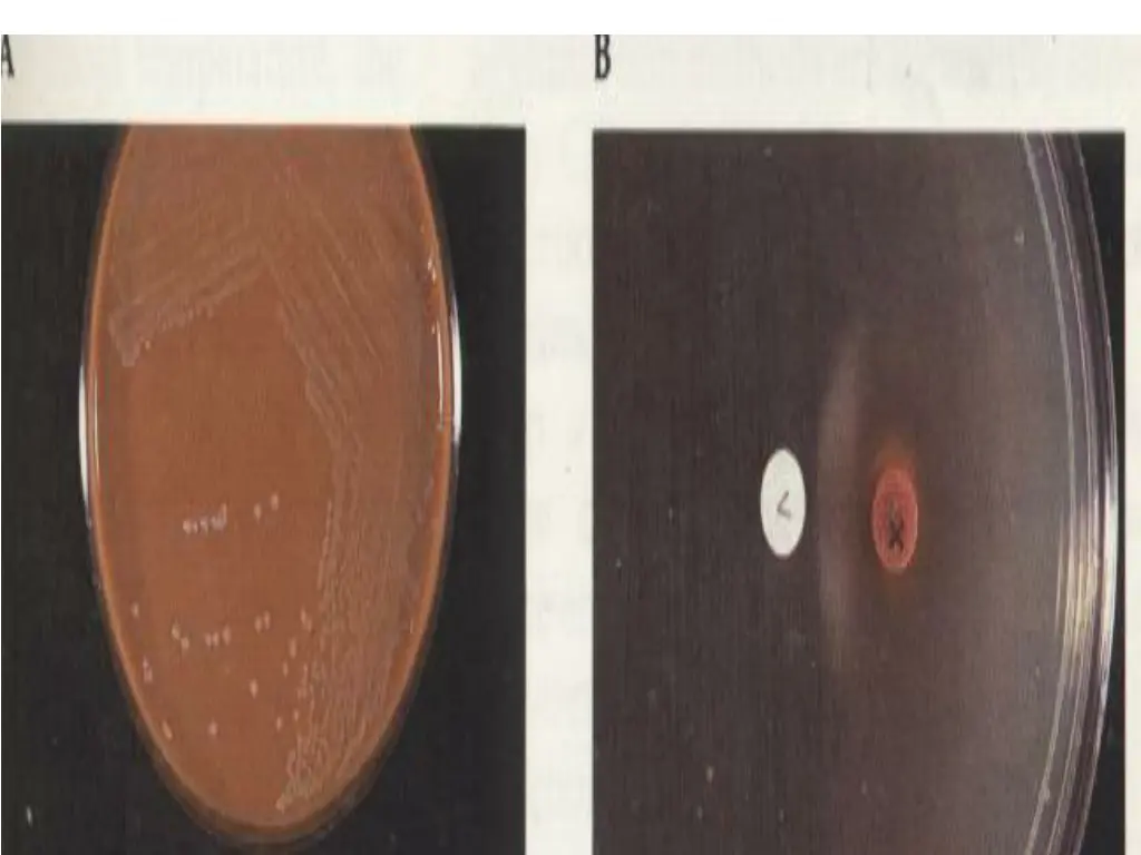 slide9