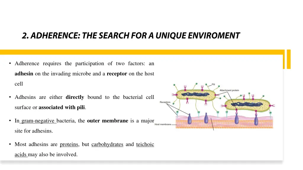 adherence requires the participation