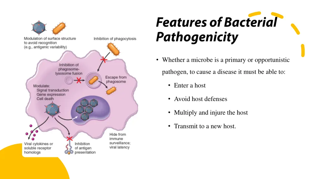 whether a microbe is a primary or opportunistic