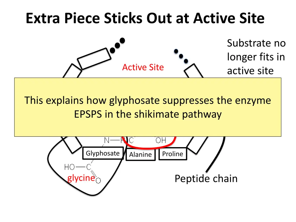 extra piece sticks out at active site 1