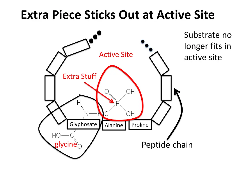 extra piece sticks out at active site