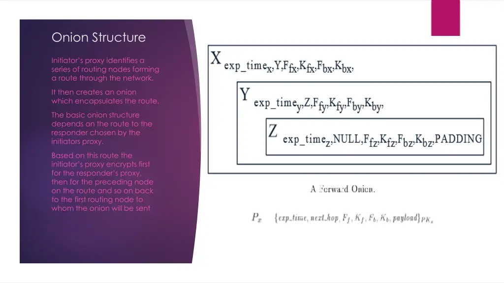 onion structure