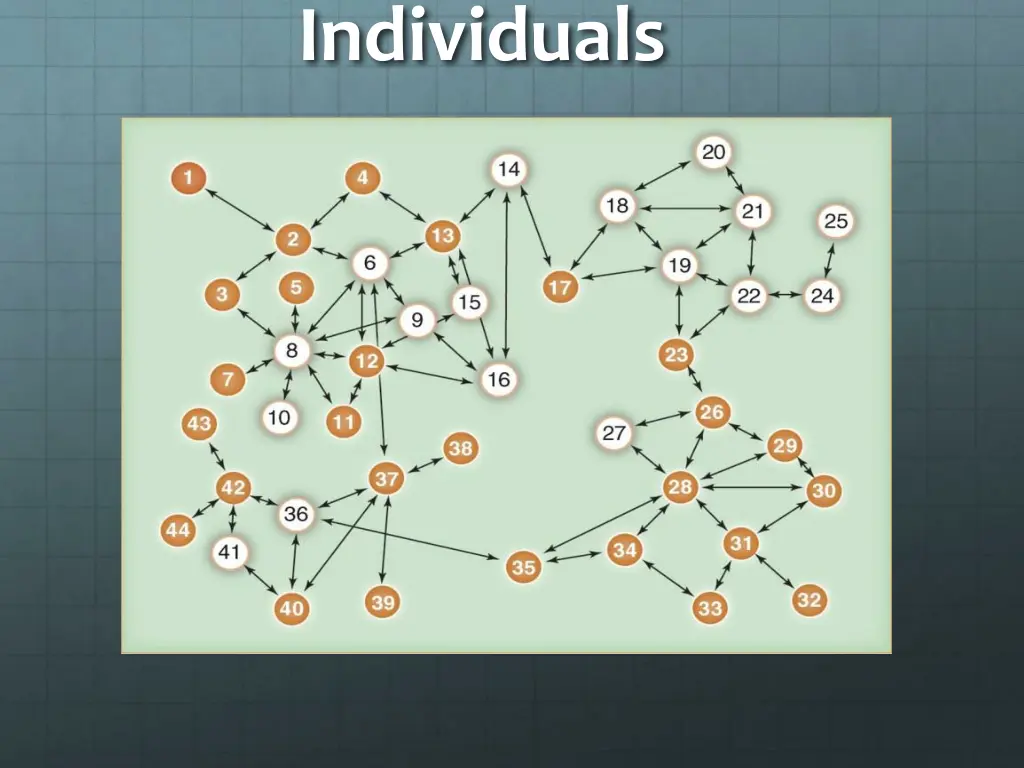 individuals 1