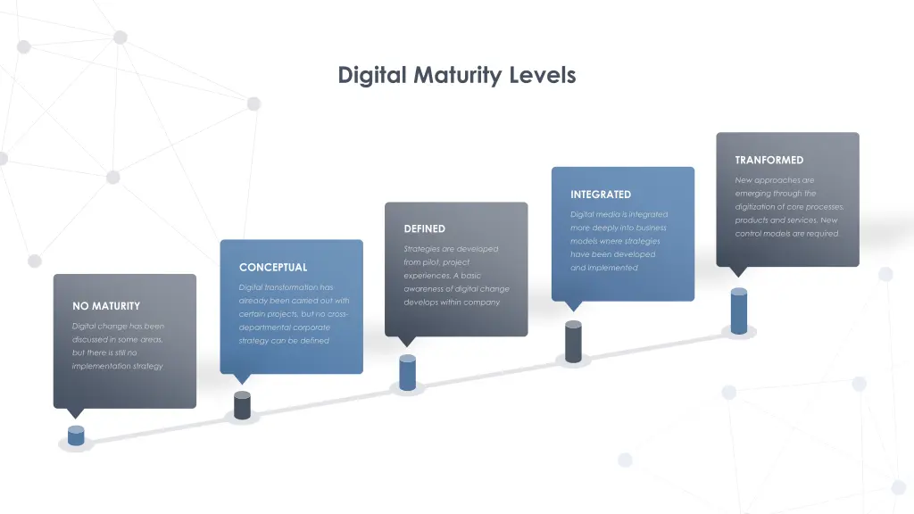 digital maturity levels