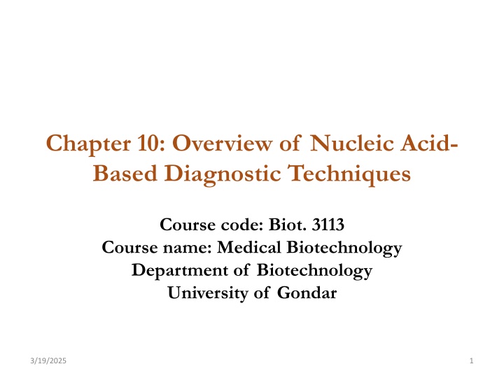 chapter 10 overview of nucleic acid based