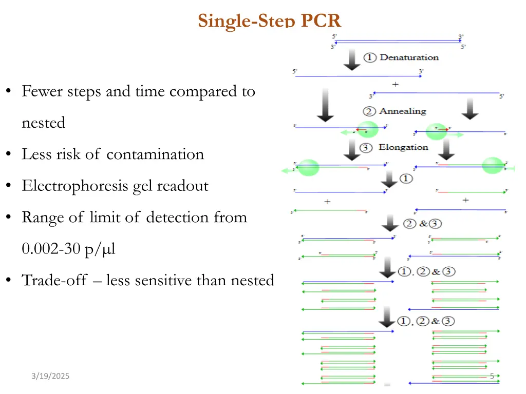 single step pcr