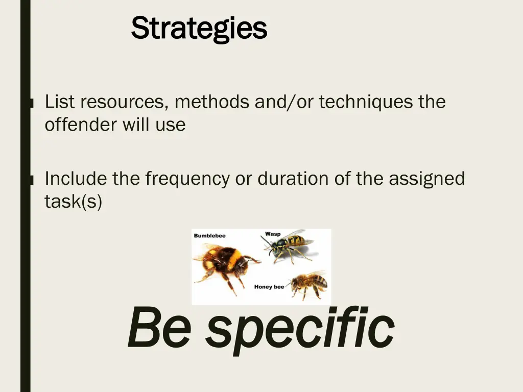 strategies strategies