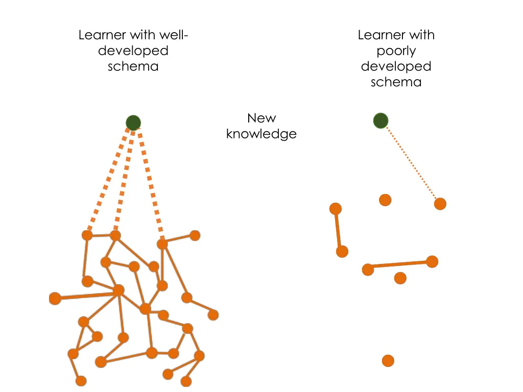 learner with well developed schema