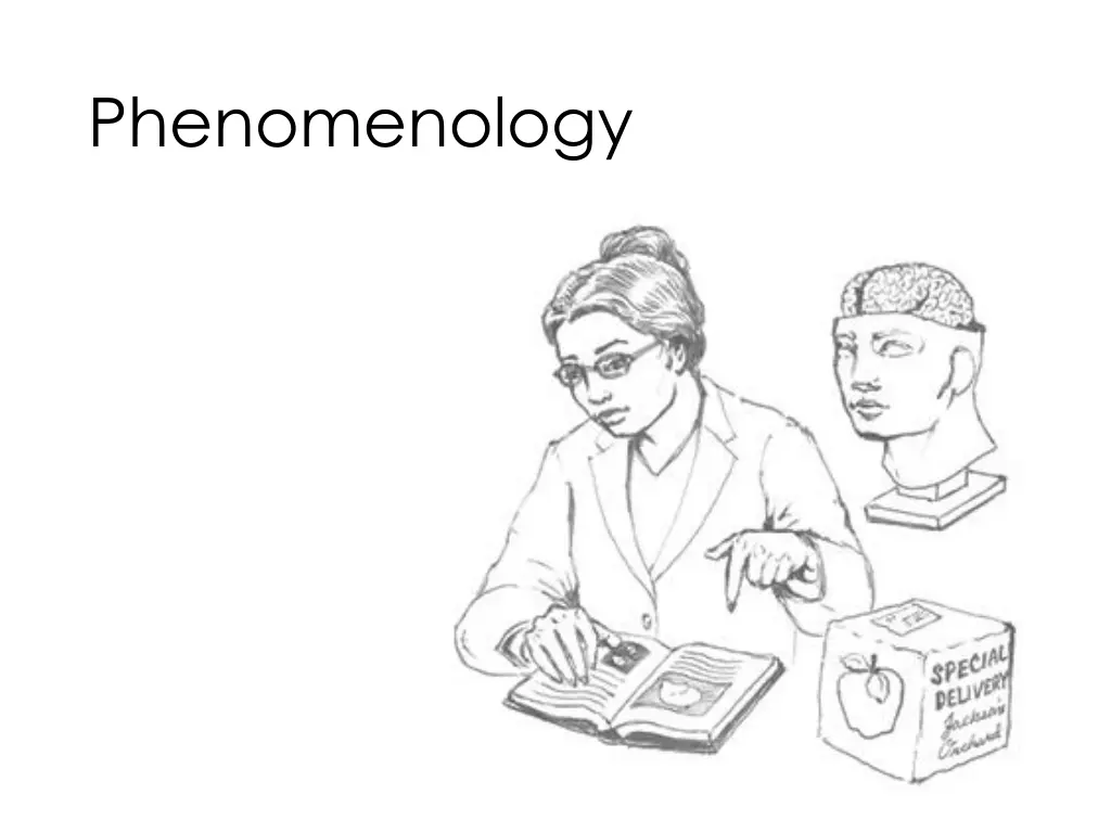 phenomenology