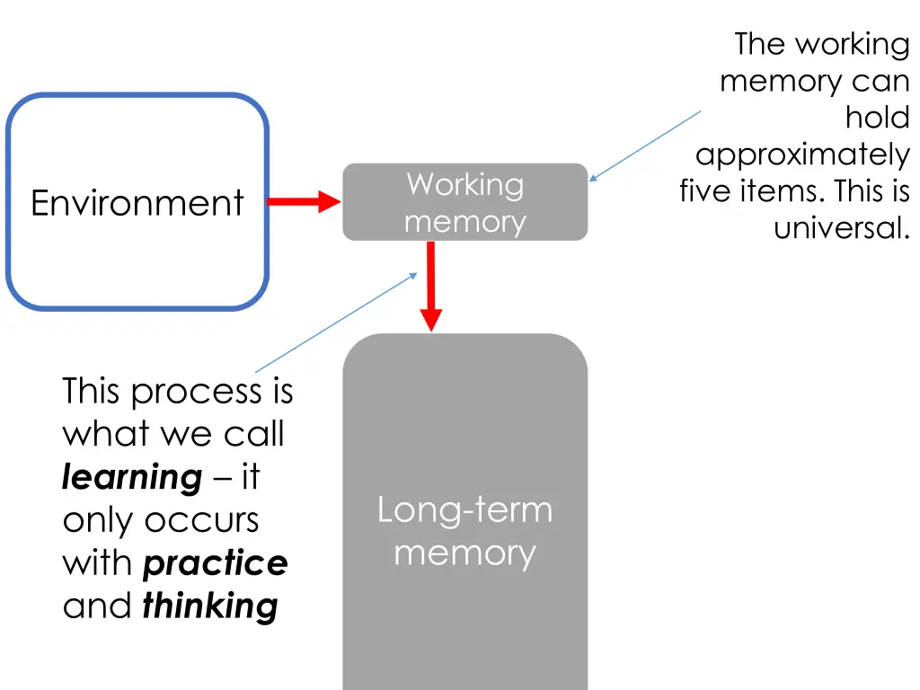 the working memory can