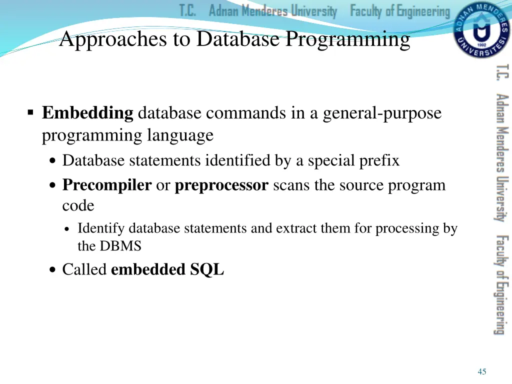 approaches to database programming
