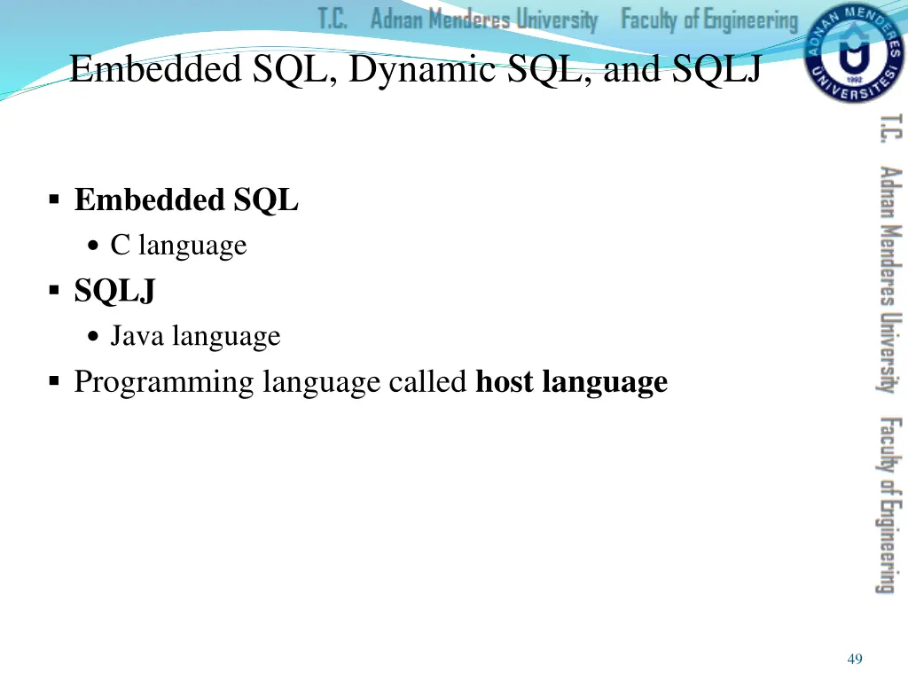 embedded sql dynamic sql and sqlj