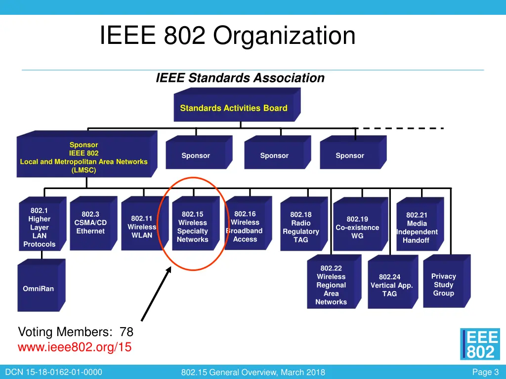 ieee 802 organization