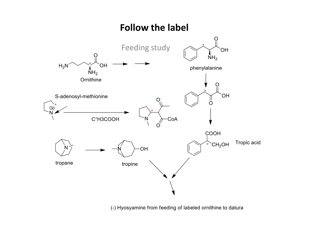 follow the label