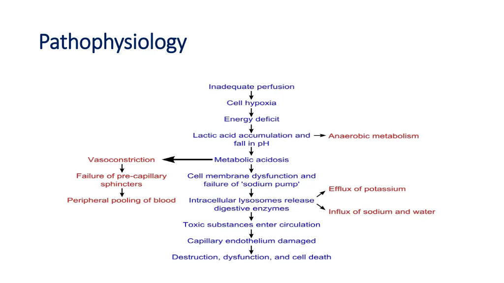 pathophysiology pathophysiology