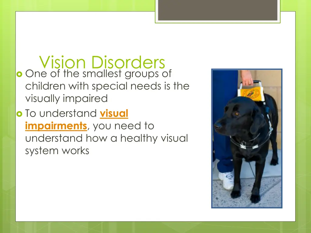 vision disorders one of the smallest groups