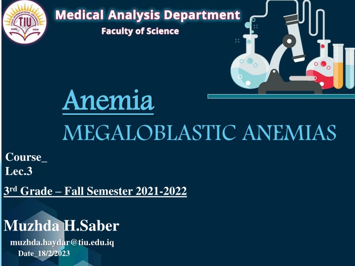 anemia megaloblastic anemias