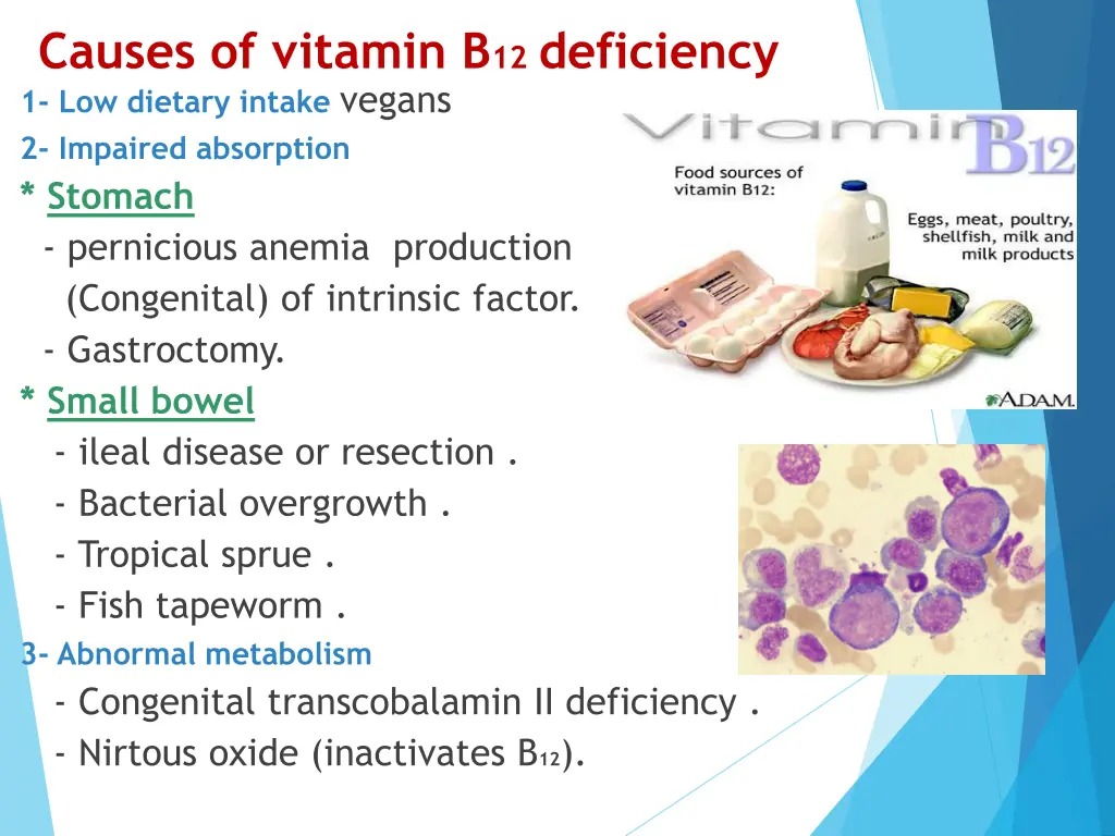 causes of vitamin b 12 deficiency 1 low dietary