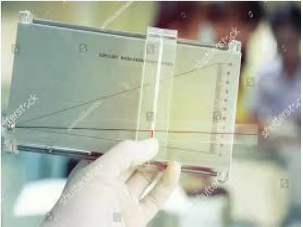 slide8