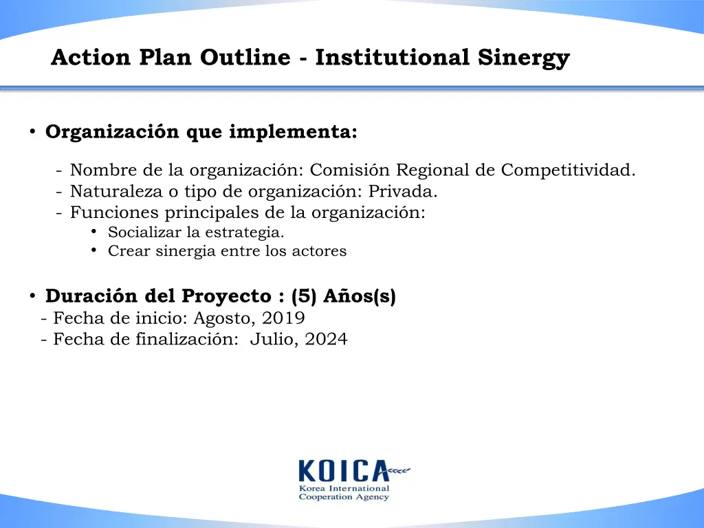 action plan outline institutional sinergy