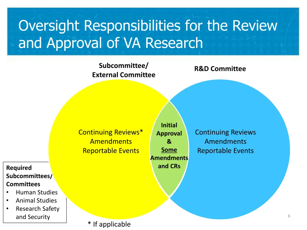 oversight responsibilities for the review