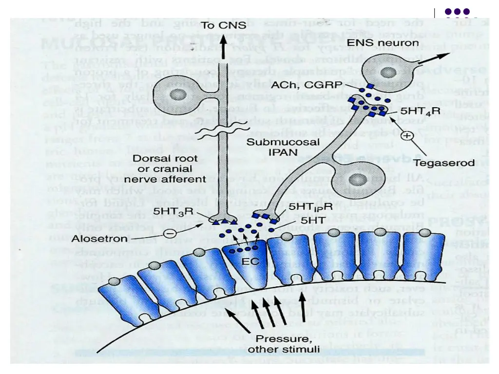 slide32