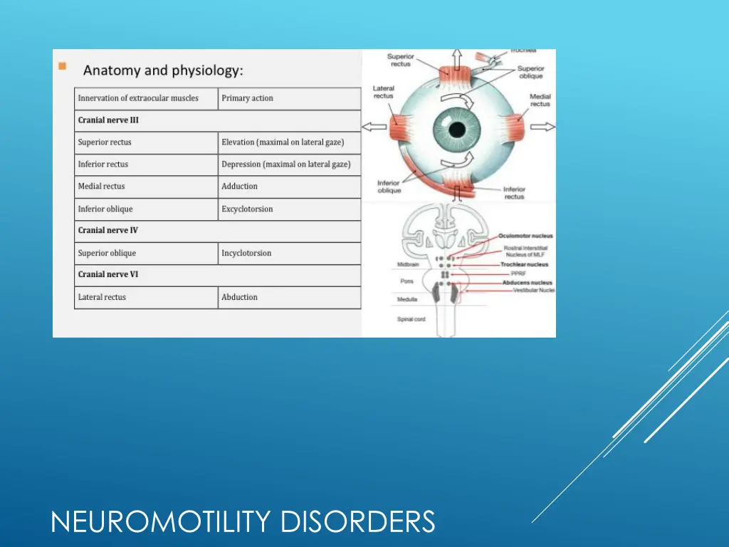 neuromotility disorders
