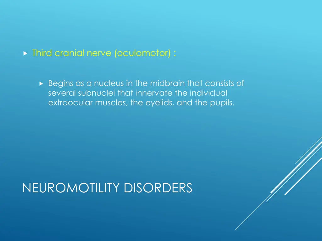 third cranial nerve oculomotor