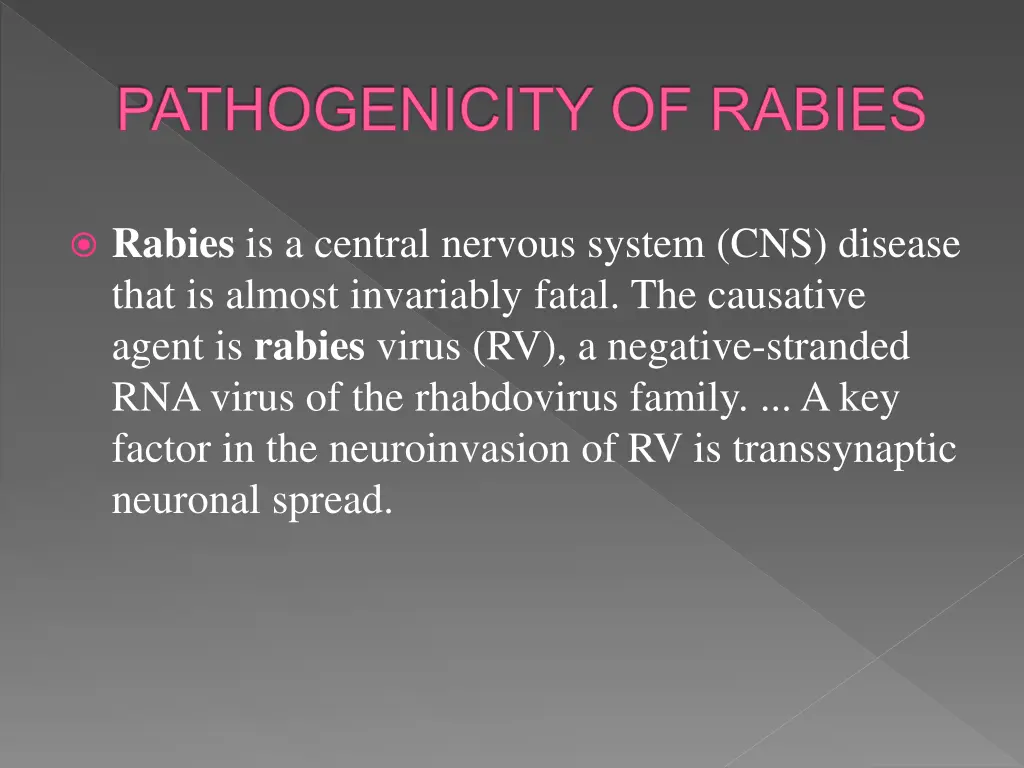 pathogenicity of rabies