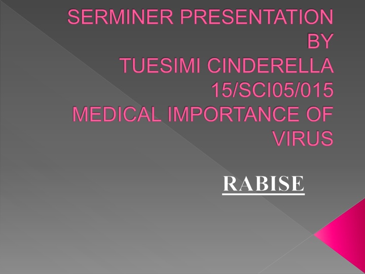serminer presentation