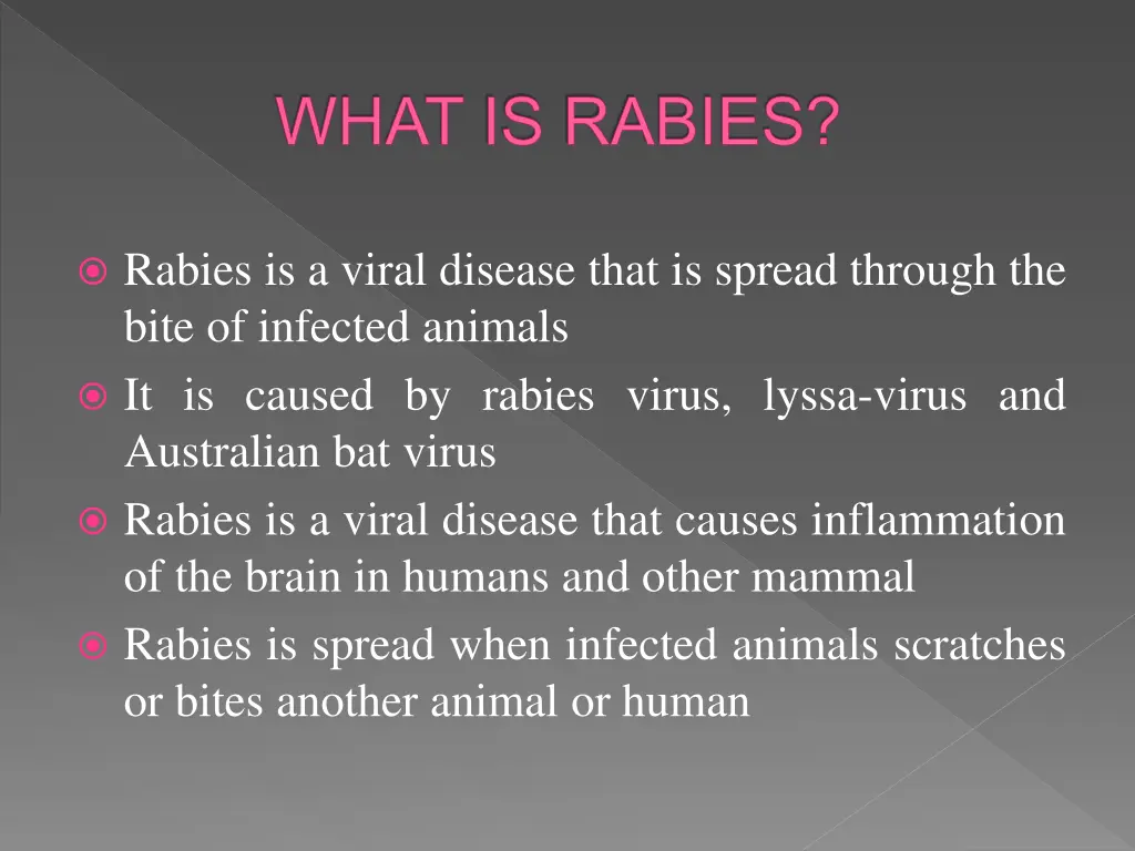 what is rabies
