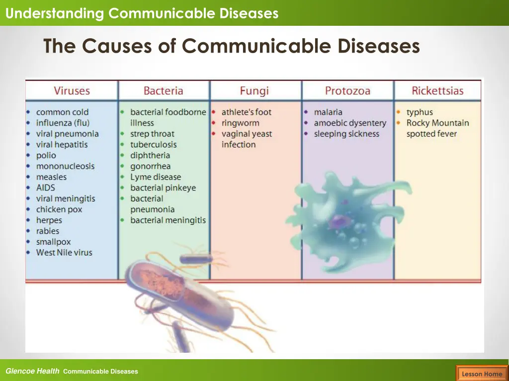 understanding communicable diseases 4