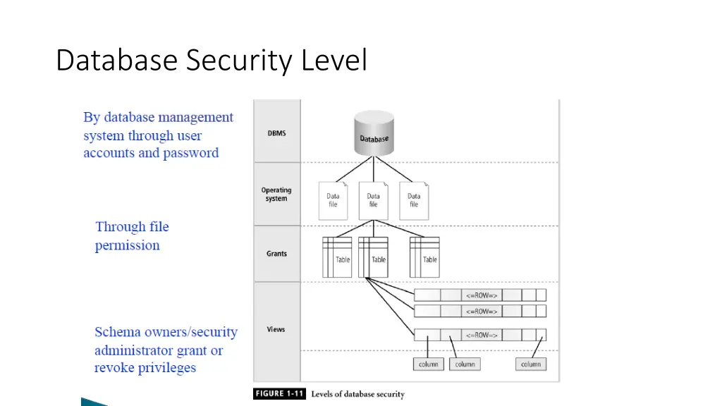 database security level 1