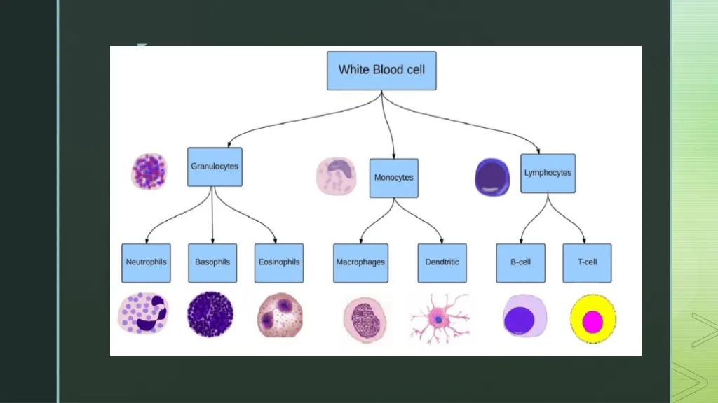 slide13