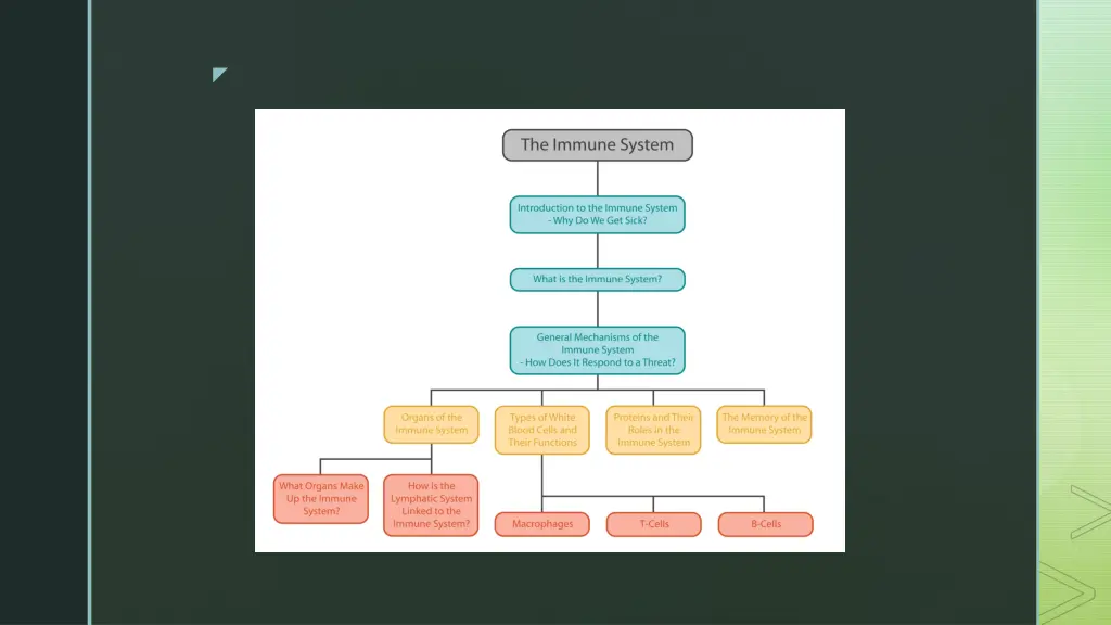 slide2