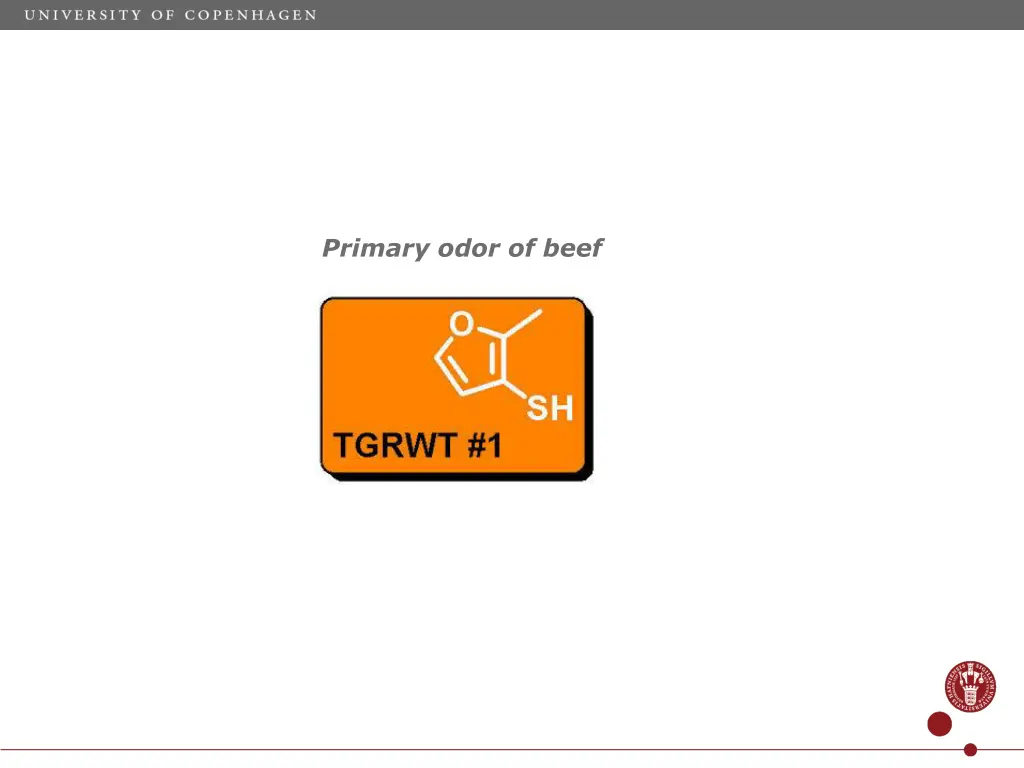 primary odor of beef