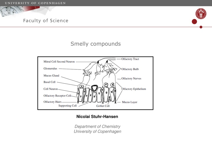 smelly compounds