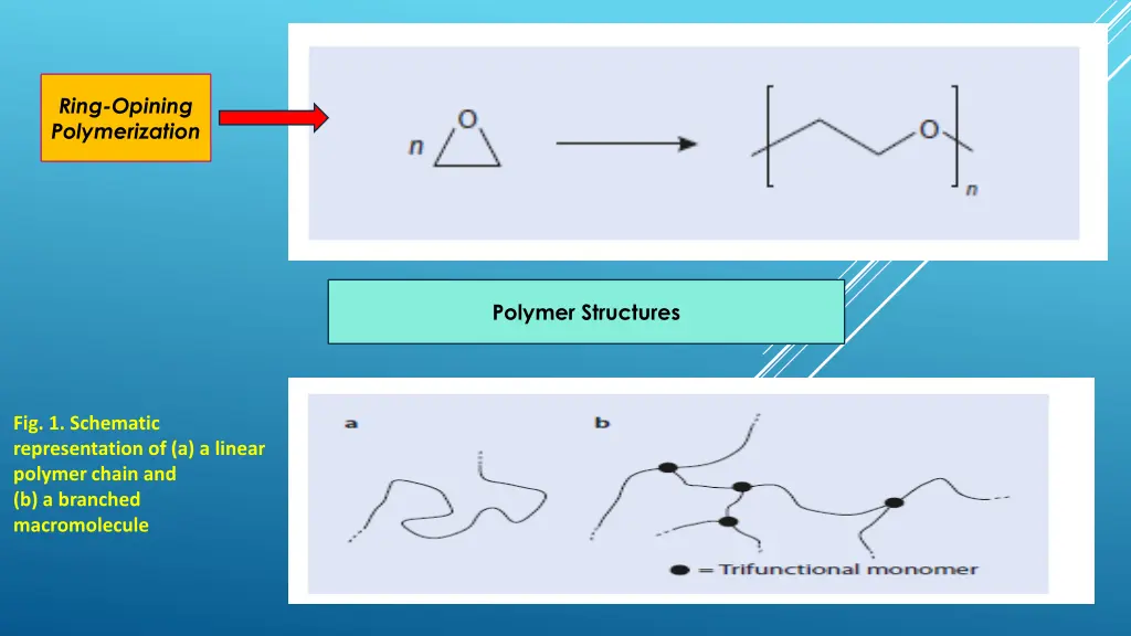 ring opining polymerization
