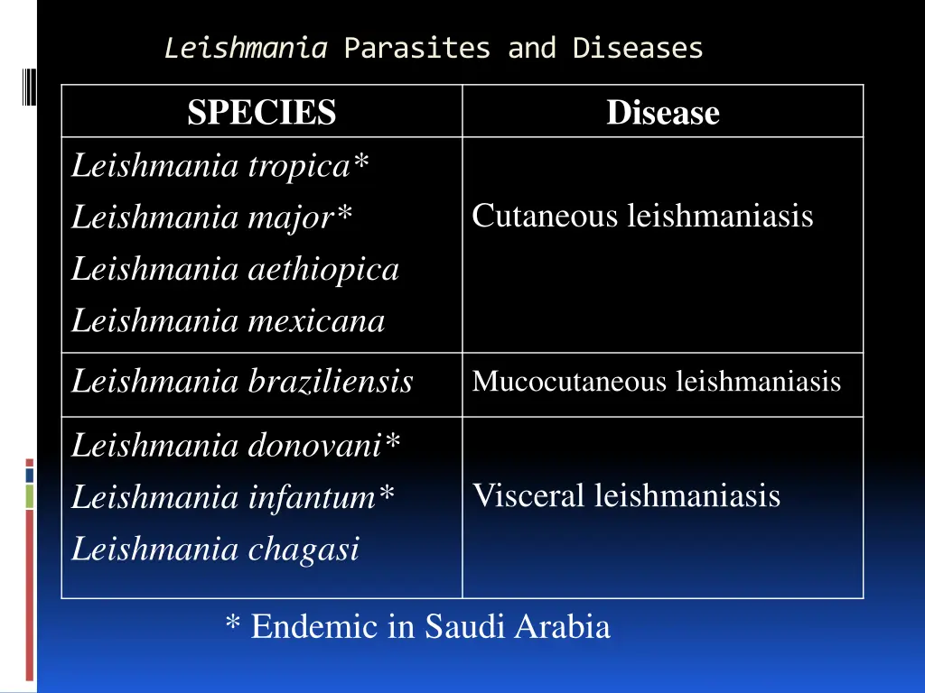 leishmania parasites and diseases