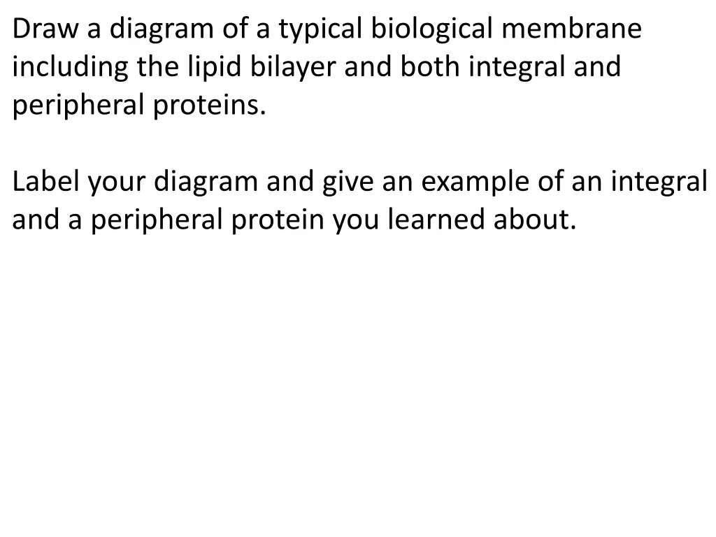 draw a diagram of a typical biological membrane 1
