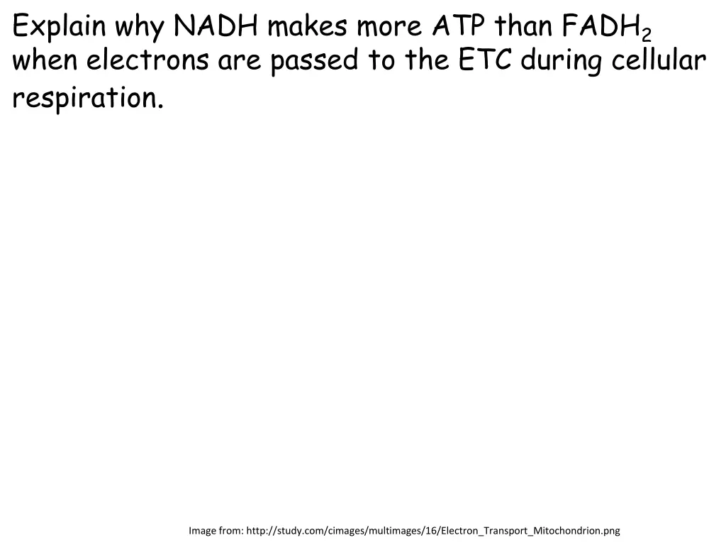explain why nadh makes more atp than fadh 2 when