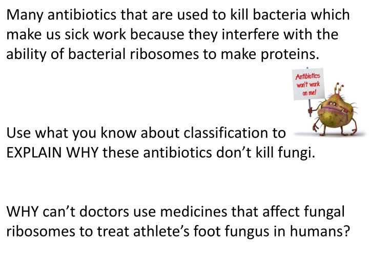 many antibiotics that are used to kill bacteria